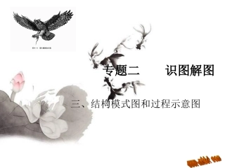 中考专题复习（识图解图）：结构模式图和过程示意图