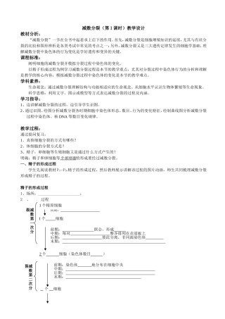 减数分裂教学设计
