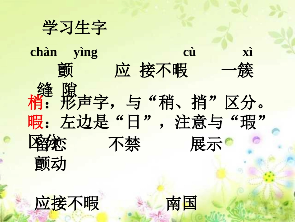 《鸟的天堂》PPT课件 ()_第3页
