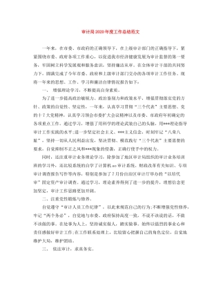 审计局年度工作总结范文