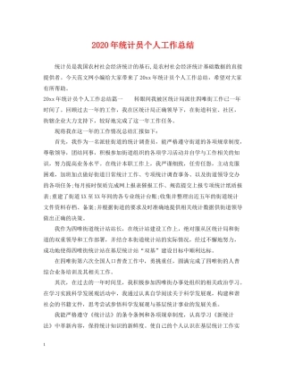 2020年统计员个人工作总结2