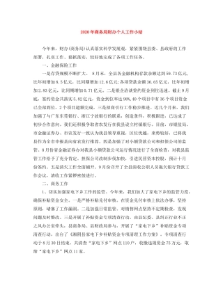 2020年商务局财办个人工作小结