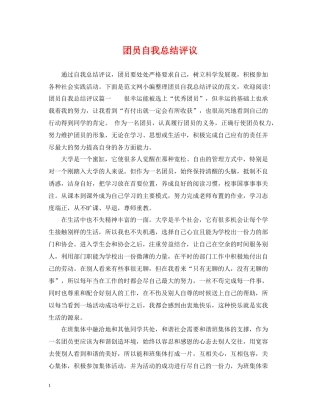 团员自我总结评议