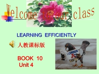 课件BOOK10--UNIT4Reading