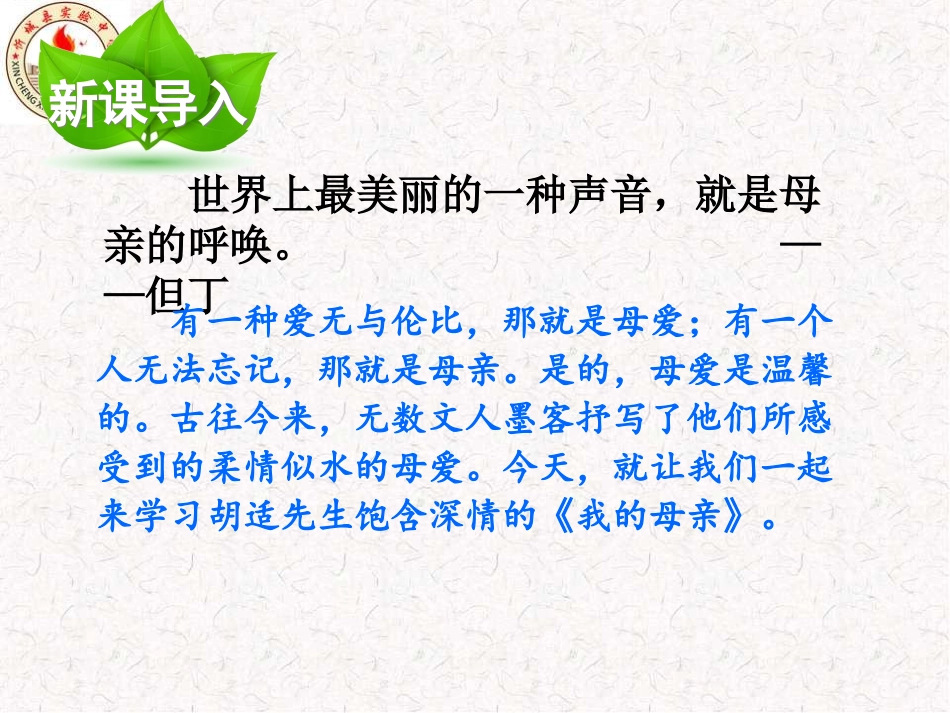 我的母亲(上课课件)_第2页