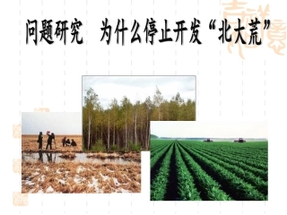 为什么停止开发北大荒