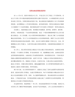 优秀出纳试用期自我评价