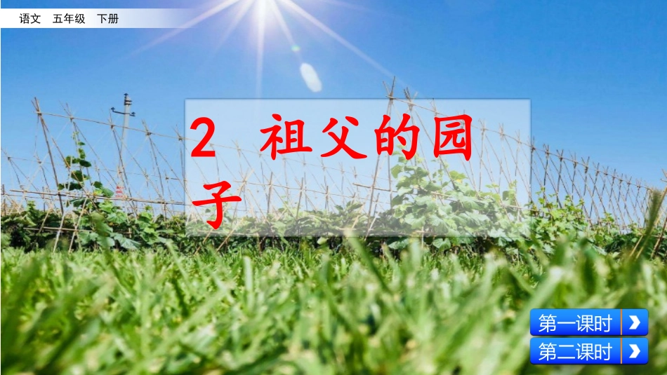 祖父的园子 ()_第2页