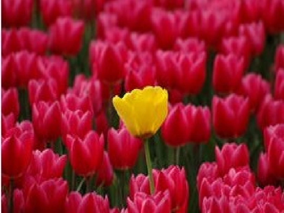 《花儿渴了》教学设计_第3页