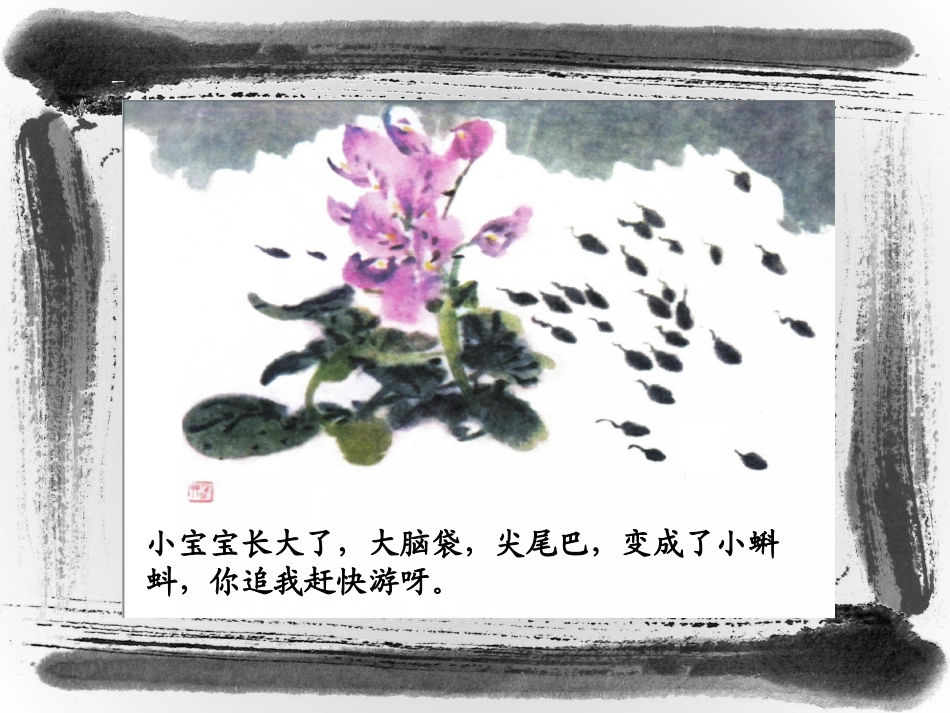 大班《小蝌蚪找妈妈》_第3页