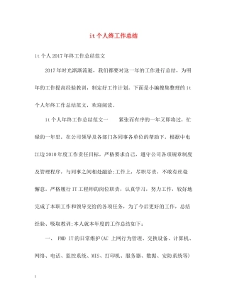 it个人终工作总结