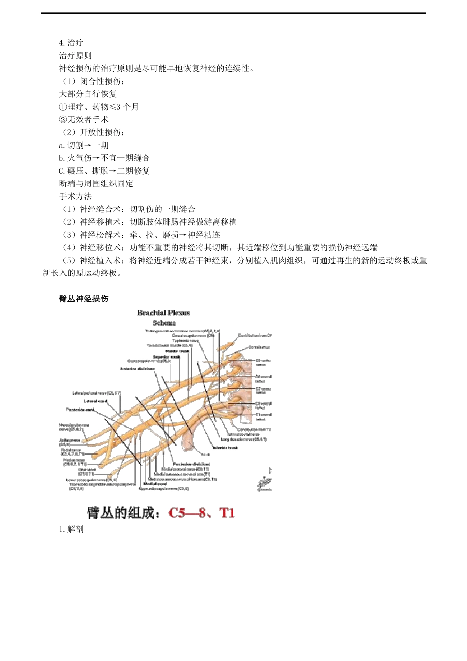 周围神经损伤考点总结_第2页