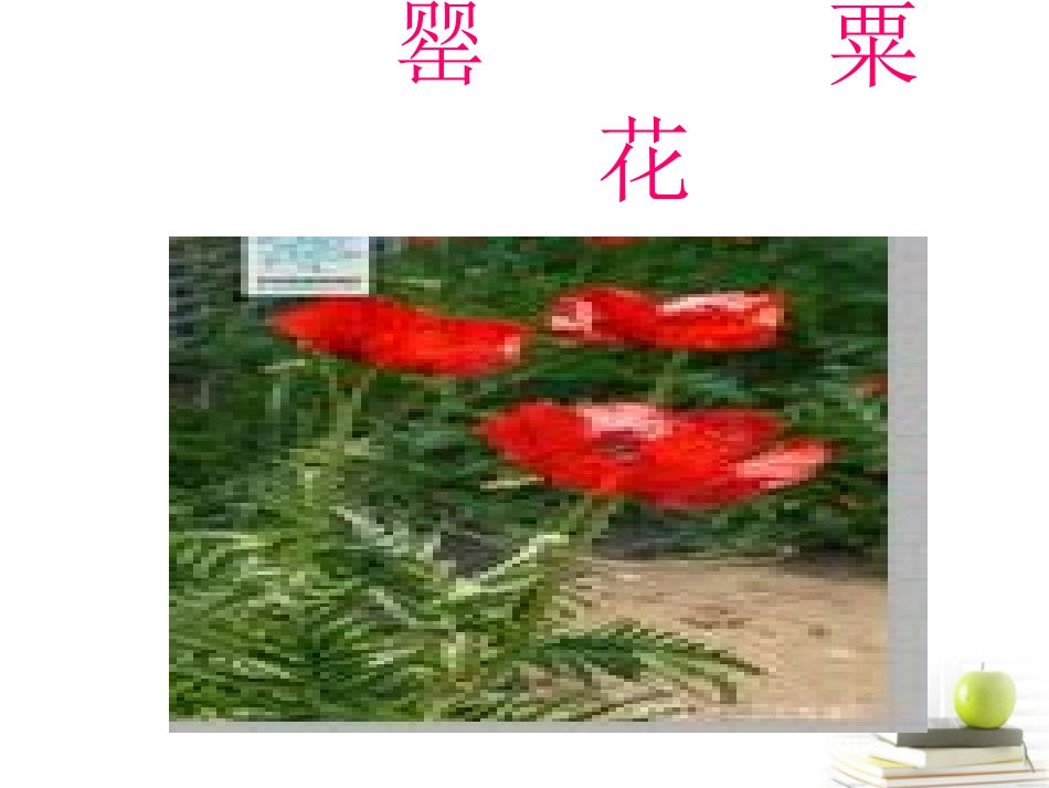 五年级思品7课艰辛的求索_第3页