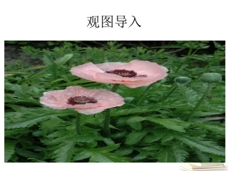 五年级思品7课艰辛的求索
