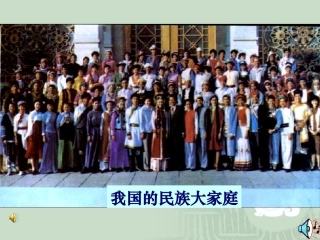 第19课统一多民族国家的巩固