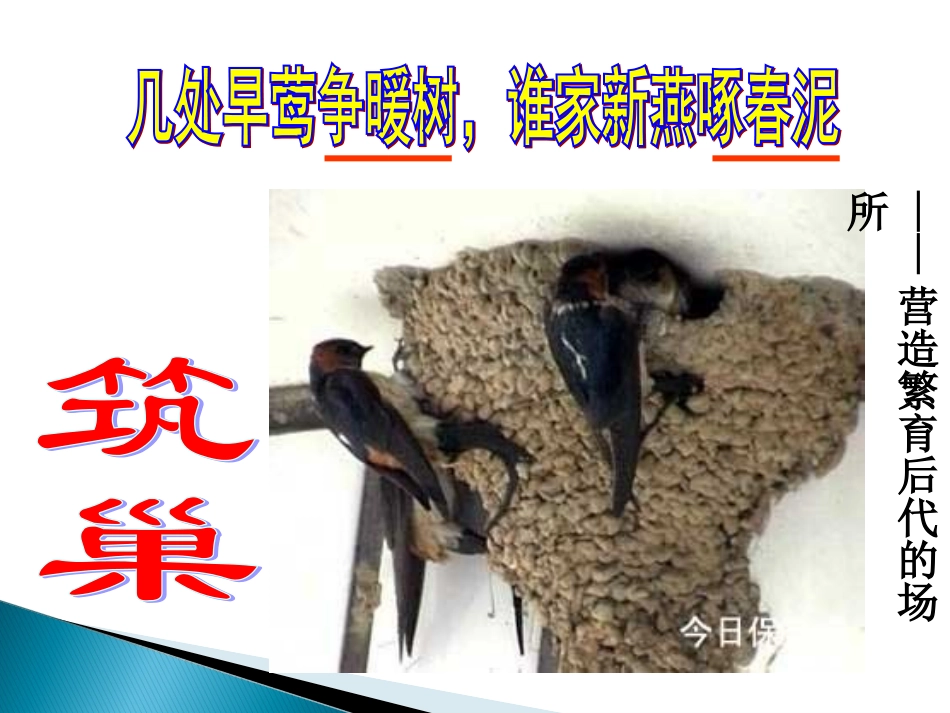 动物的生殖和发育（第2课时）_第3页