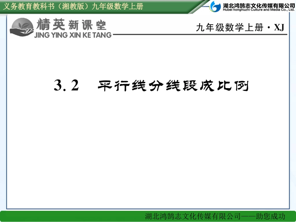 平行线分线段成比例 (2)_第1页