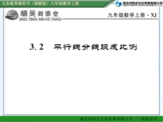 平行线分线段成比例 (2)
