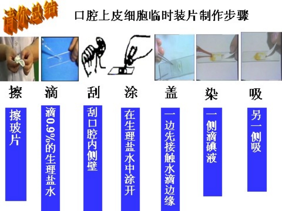 第四节++细胞的生活++++52_第2页