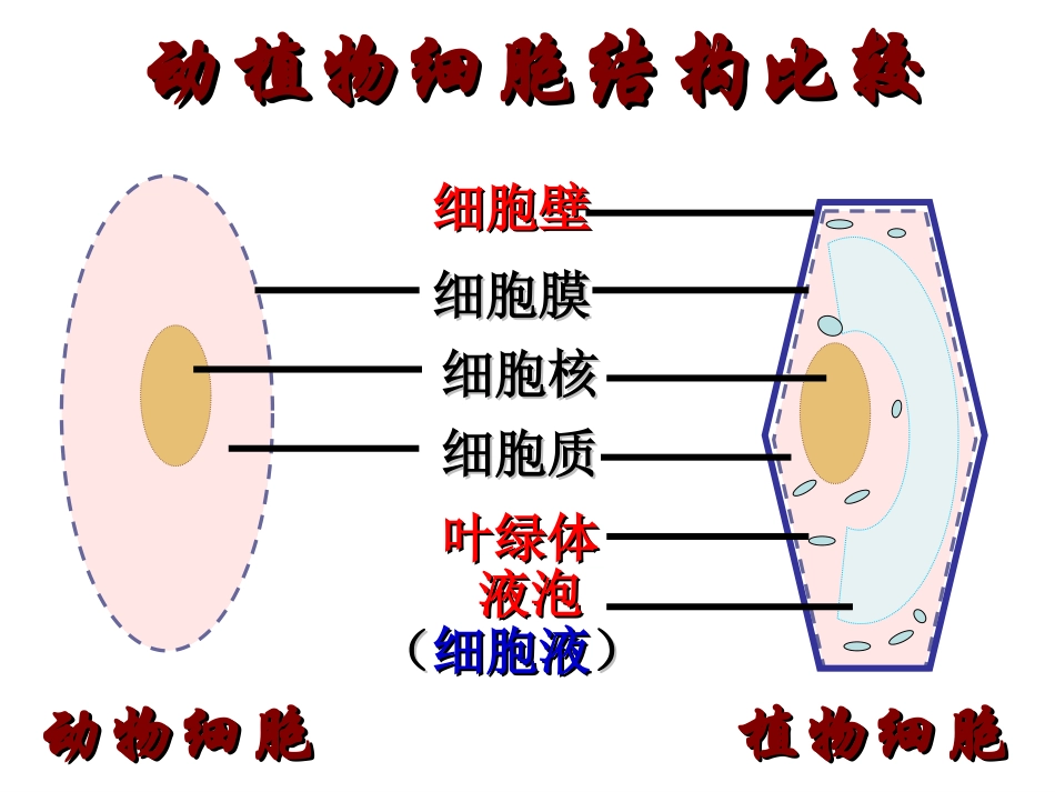 第四节++细胞的生活++++52_第3页