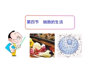 第四节++细胞的生活++++52