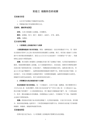 2014细胞生物学试验课内容细胞形态观察细胞器活体染色细胞骨架观察