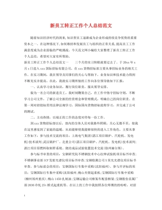 新员工转正工作个人总结范文