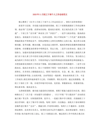 2020年11月组工干部个人工作总结范文