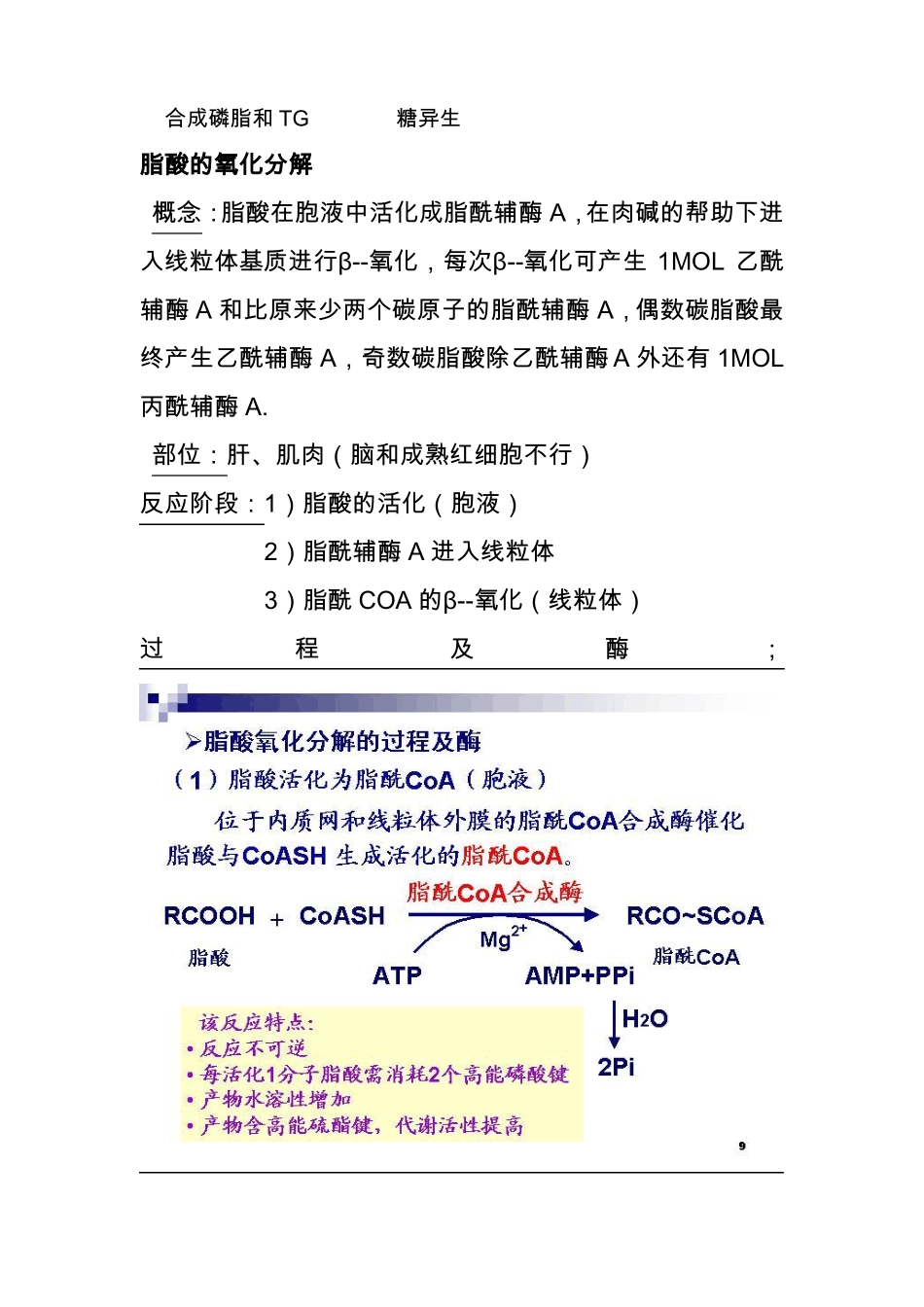生物化学脂类代谢_第2页