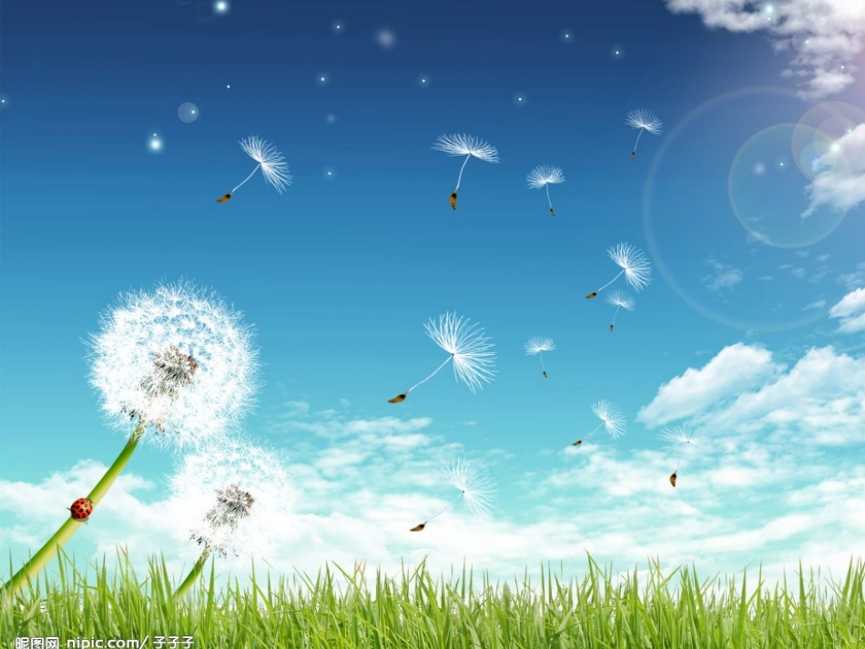 (语文S版)四年级语文课件_蒲公英的梦(1)_第3页