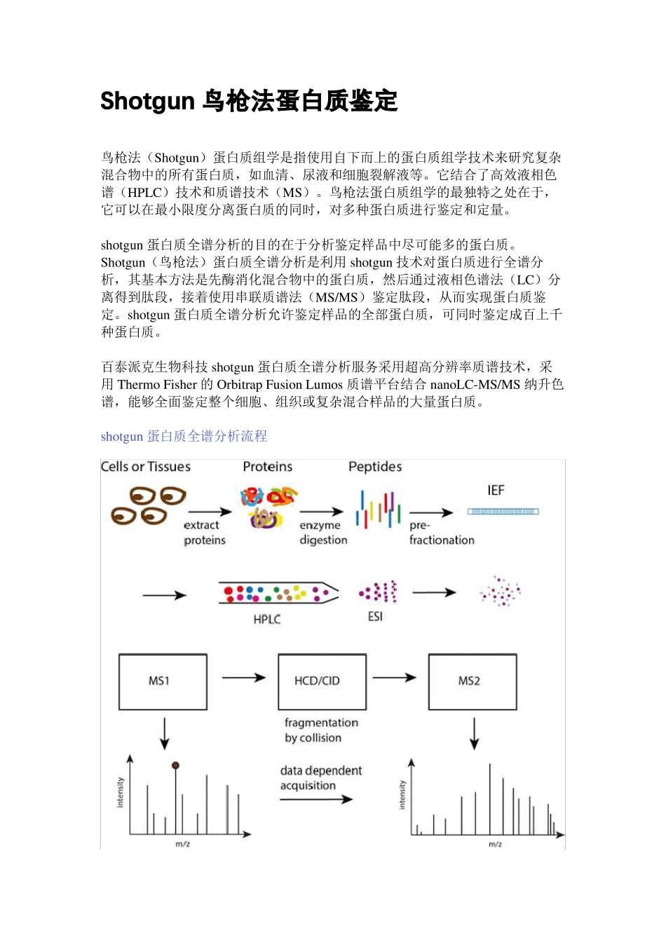 Shotgun鸟枪法蛋白质鉴定_第1页