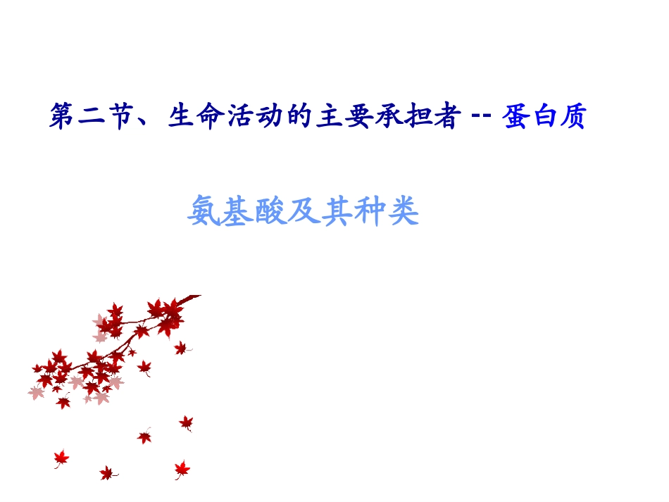 氨基酸及其结构_第1页