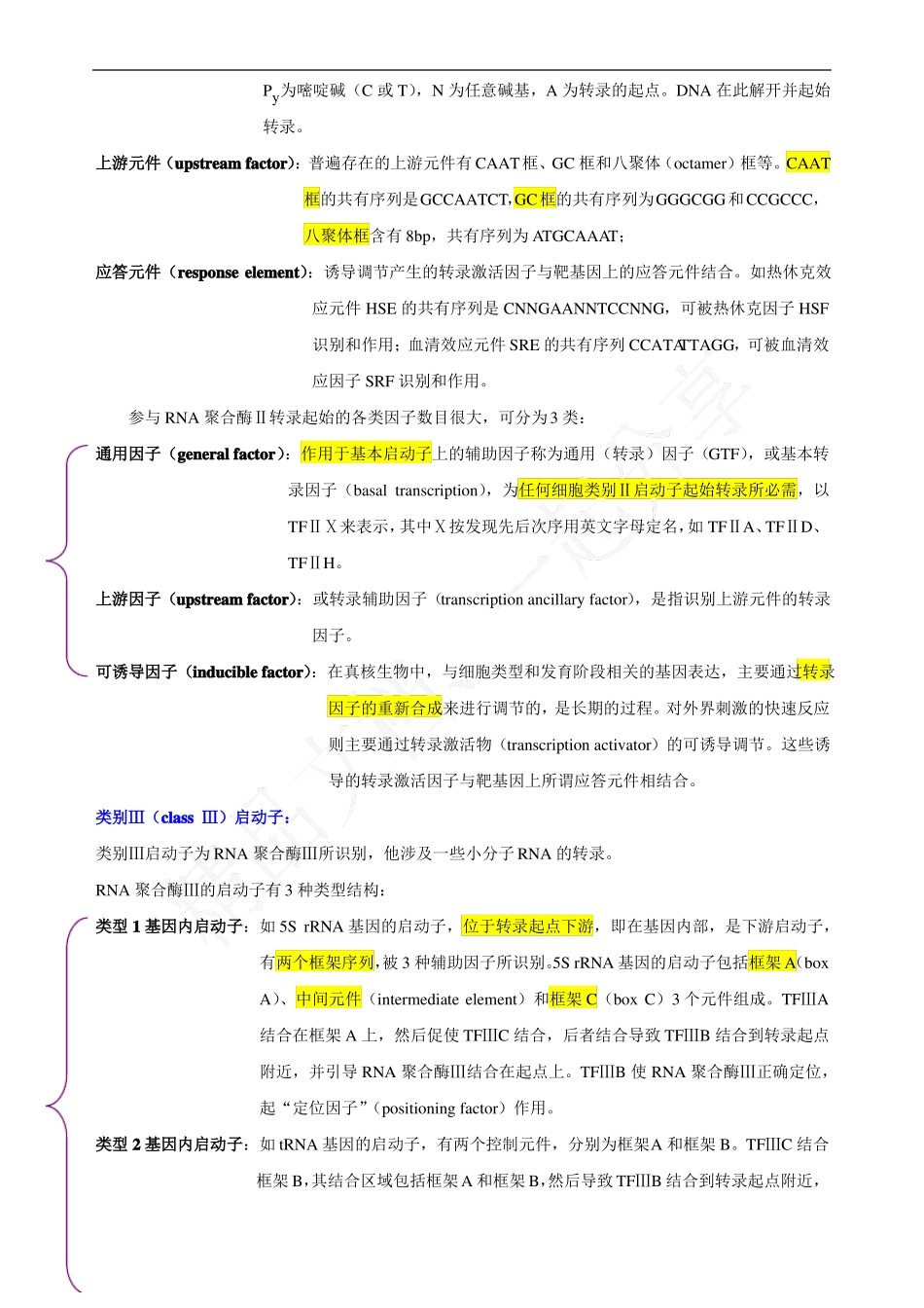 启动子与增强子_第3页
