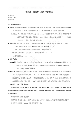 启动子与增强子