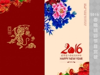 2016春晚优秀节目赏析