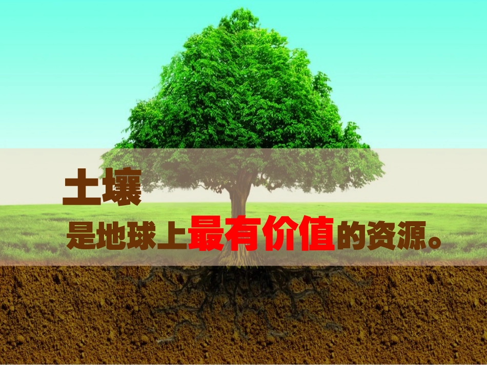 教科版小学科学五年级上册-土壤中有什么_第3页