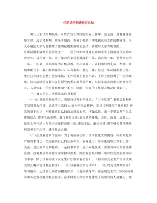 任职试用期满转正总结
