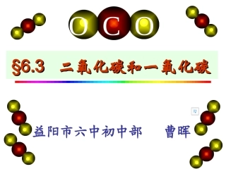 使用二氧化碳2 (2)