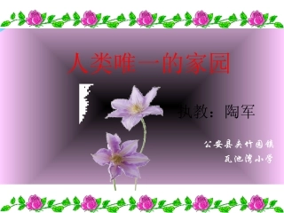 人类唯一的家园