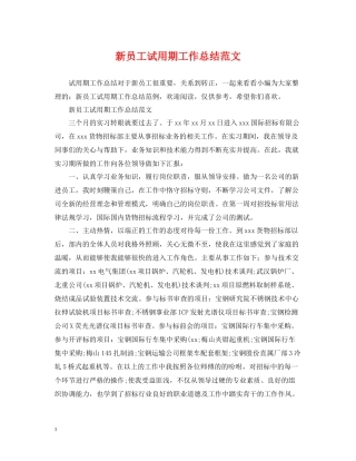 新员工试用期工作总结范文2