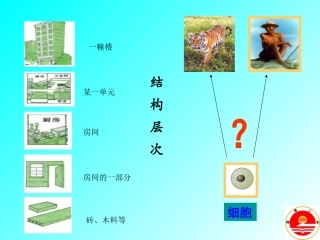 屈原二中湛田动物体的结构层次