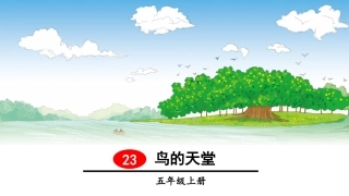 （23鸟的天堂