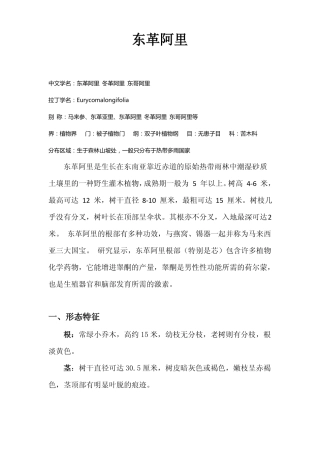 东革阿里简介1
