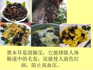 黑色食品有营养