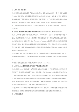 真核细胞常见表达载体