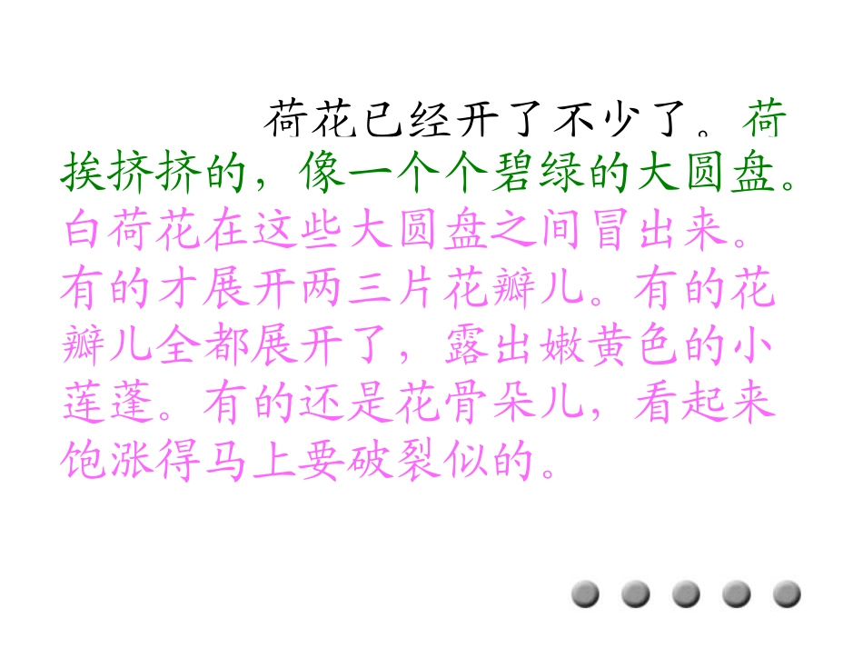 人教版小学三年级下册语文荷花教学PPT课件_第3页