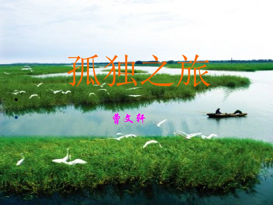 《孤独之旅》的演示文稿_第1页