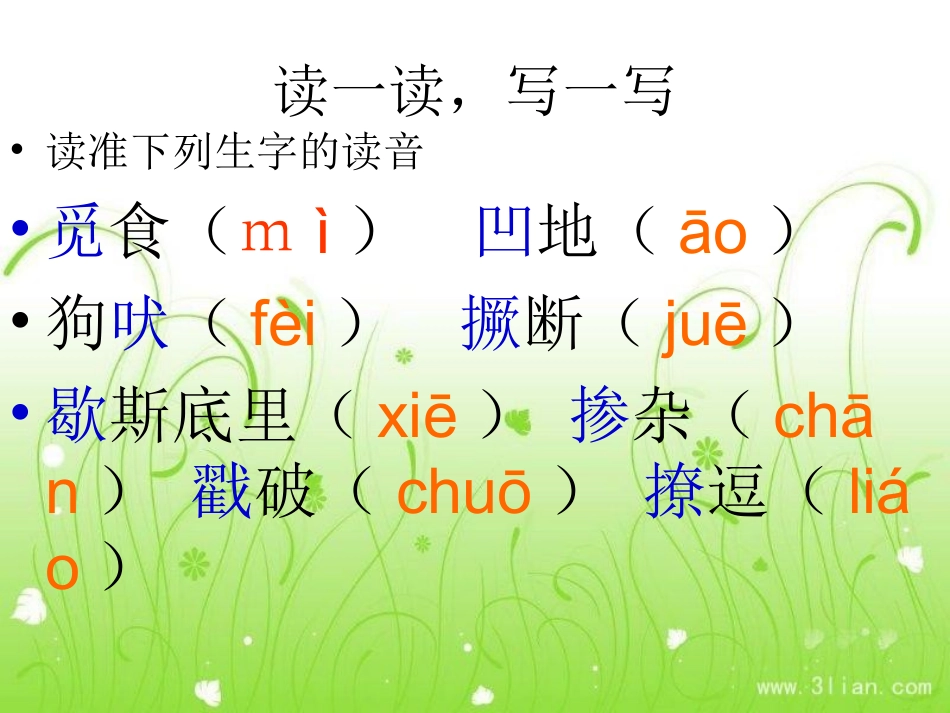 《孤独之旅》的演示文稿_第3页