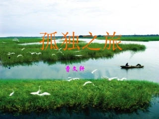 《孤独之旅》的演示文稿