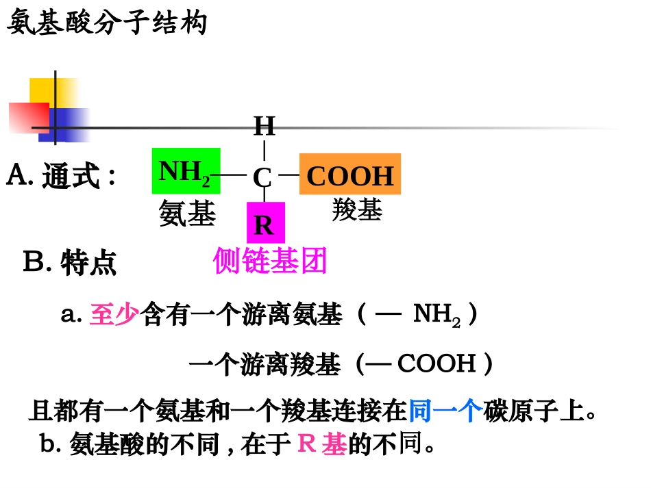 第五节遗传信息的携带者(27张PPT)_第1页
